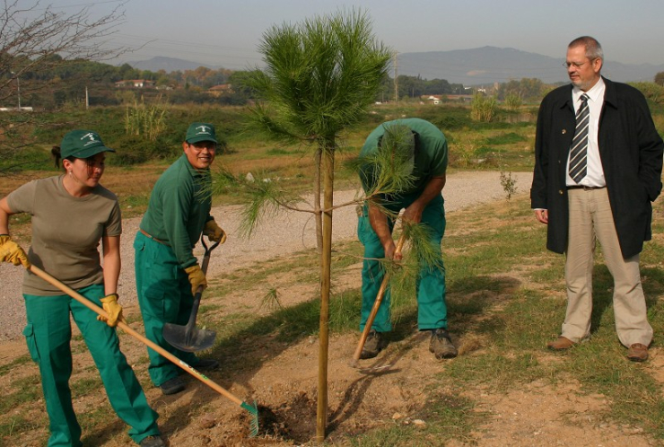 El regidor de Medi Natural supervisa la plantada d'arbres a la Ronda Verda