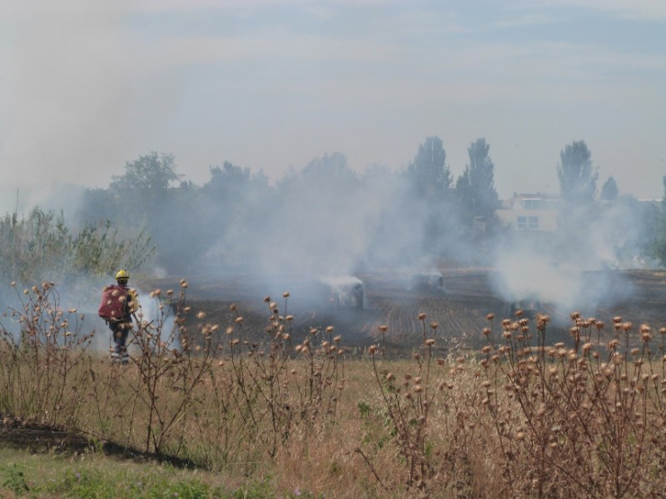 Incendi en un camp del municipi, estiu del 2012