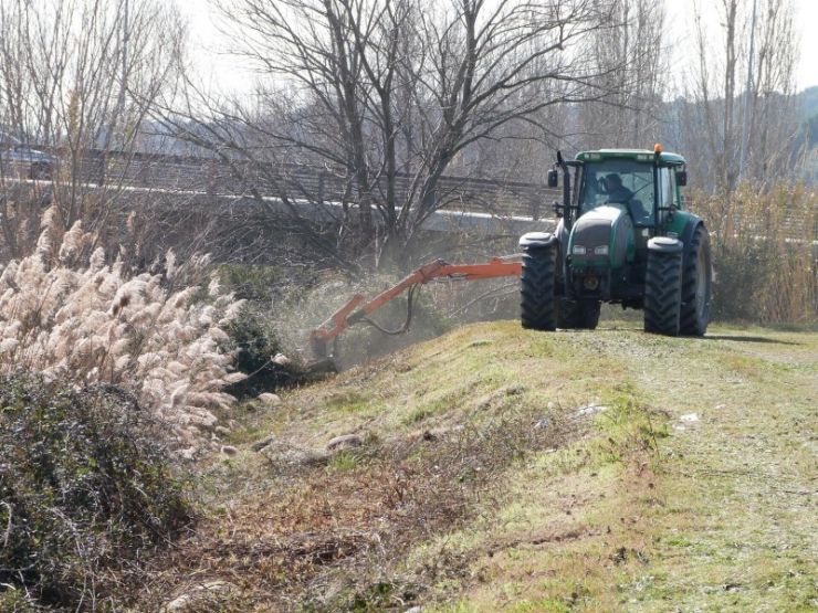 Maquinària pesada desbrossant bardisses i altres plantes