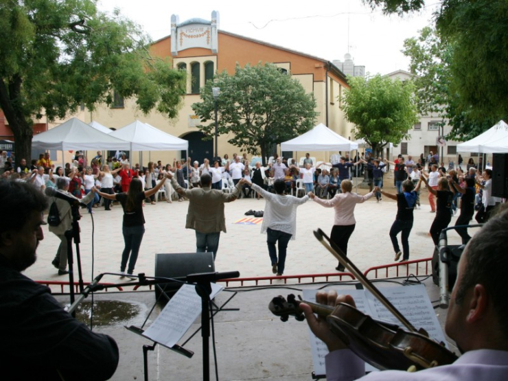 150911 diada sardanes2