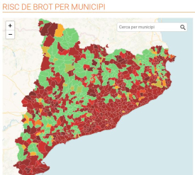 Risc de rebrot per municipis