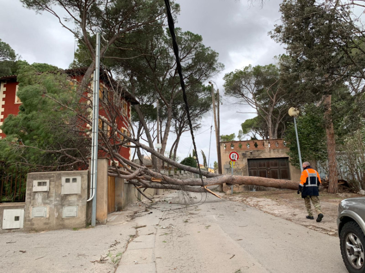 Temporal.Pujada carrer Montjuïc