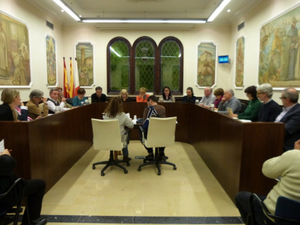 Ple Municipal Ordinari del 26 de febrer del 2015.