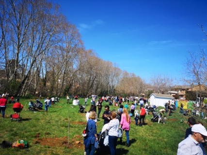 Plantada d'arbres
