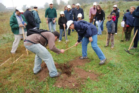 Treballadors de Yamaha i altres voluntaris, plantant arbres de ribera