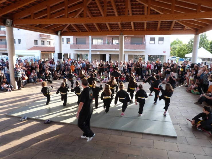 130603 festaesport caestruch artsmarcials