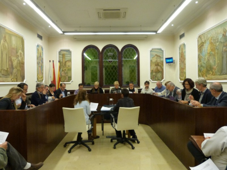 Ple Ordinari del 31 d'octubre del 2013
