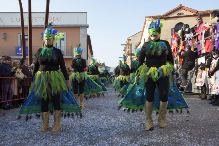137 carnestoltes2017psplegamans copy