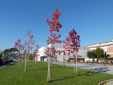 Jardins de Manuel Carrasco i Formiguera, al costat del nou CAP.