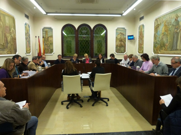 Ple Municipal del 30 de gener del 2014.