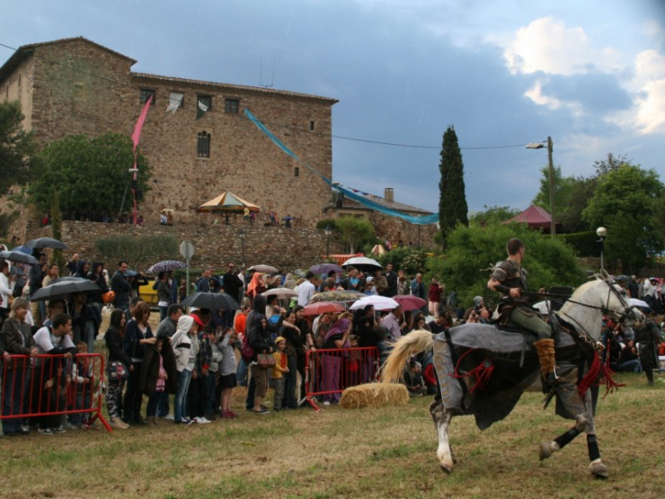 Torneig de cavallers, Mercat Medieval 2013.