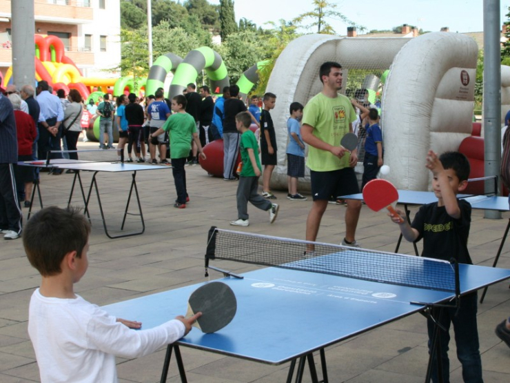 140602 festaesport placacaestruch