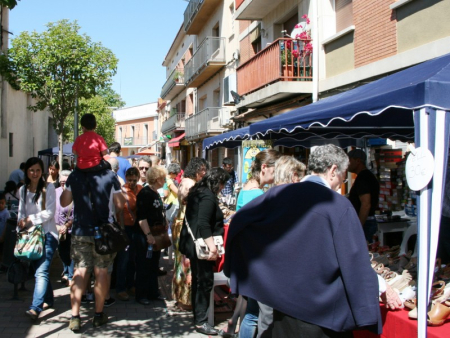 140602 foraestocs ambient01