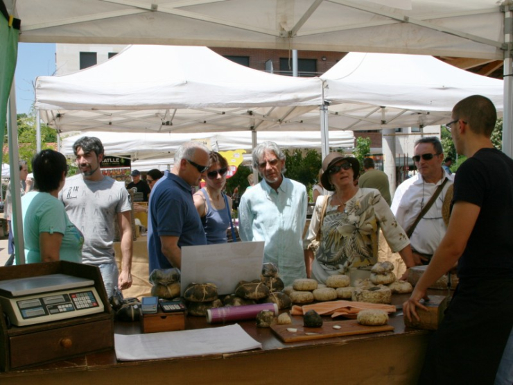 Teresa Padrós, Miquel Rovira i altres regidors i regidores, en la inauguració de la 1a Fira de la Terra.