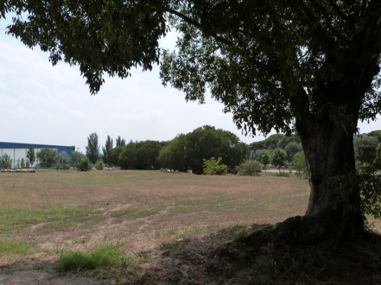 Camp principal on hi haurà horts municipals