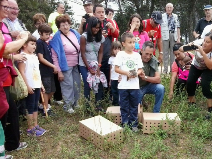 Alliberament de perdius durant la caminada.