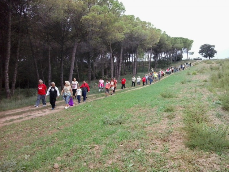 Part del grup d'excursionistes, caminant per l'entorn natural de la vila.