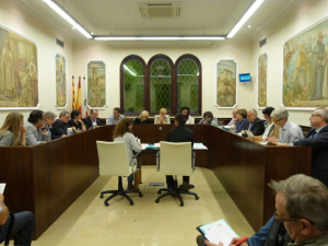 Ple Municipal Ordinari del 30 d'octubre del 2014.