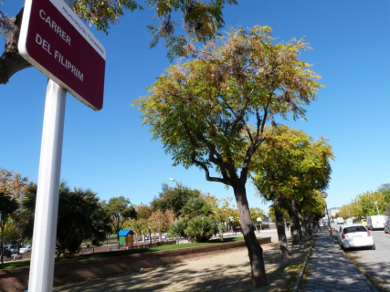 El carrer Filiprim es troba al barri del Pla de l'Alzina, a Palau-solità i Plegamans.