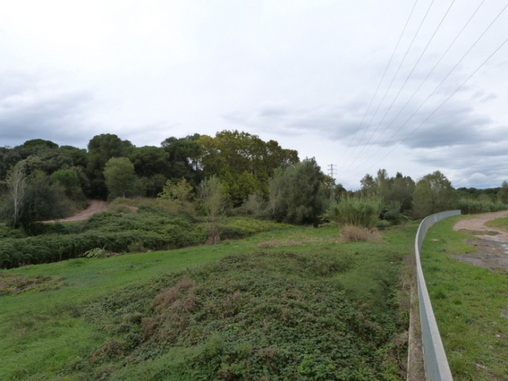 Llit de la Riera de Caldes al límit nord de Palau-solità i Plegamans, abans de la desbrossada.