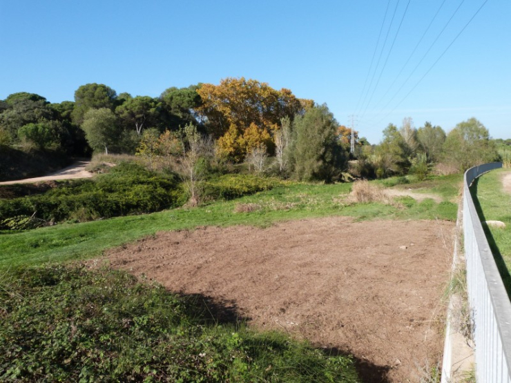 Llit de la Riera de Caldes al límit nord de Palau-solità i Plegamans, després de la desbrossada.