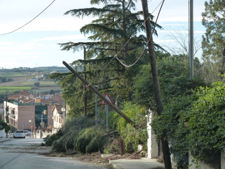Arbres i cables malmesos a la Tenda Nova.