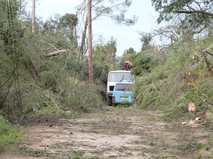 Feines de neteja d'un camí bloquejat per arbres caiguts.