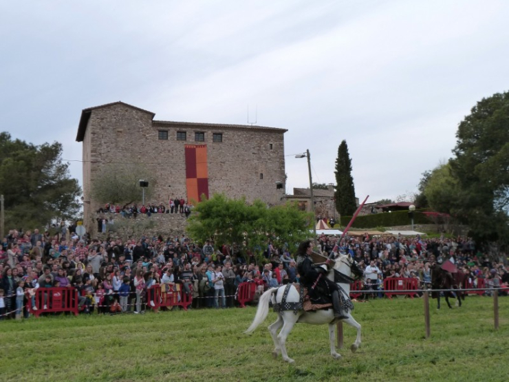 Torneig Medieval amb cavalls. Mercat Medieval 2015.