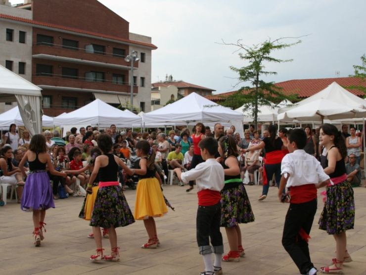 150611 firaterra2014 ballgitanes