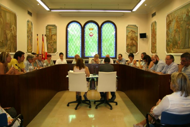 Ple Extrarodinari de creació dels òrgans de govern i administratius del mandat 2015-2019.