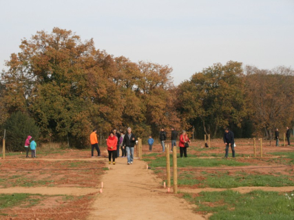 151214 hortsmunicipals vistageneral camp1