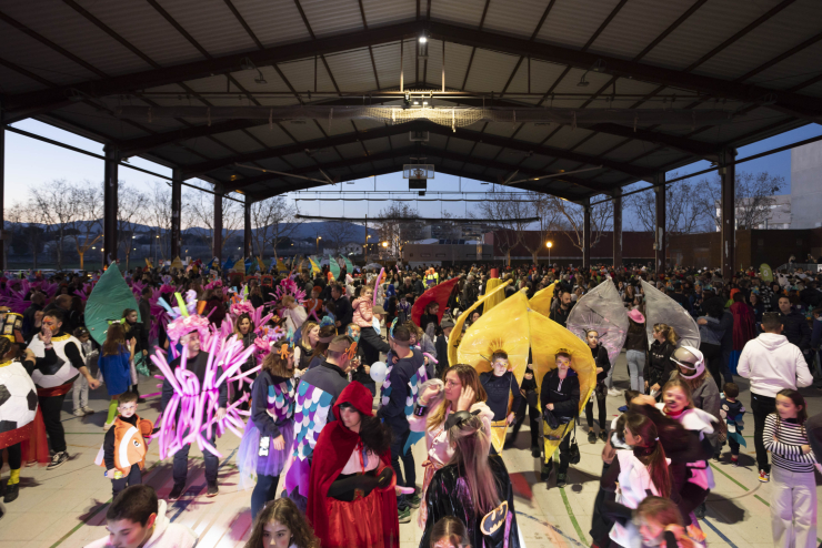 Imatge 160 del Carnaval 2023