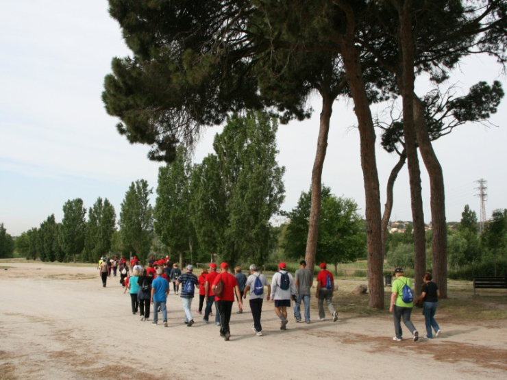Caminada popular.