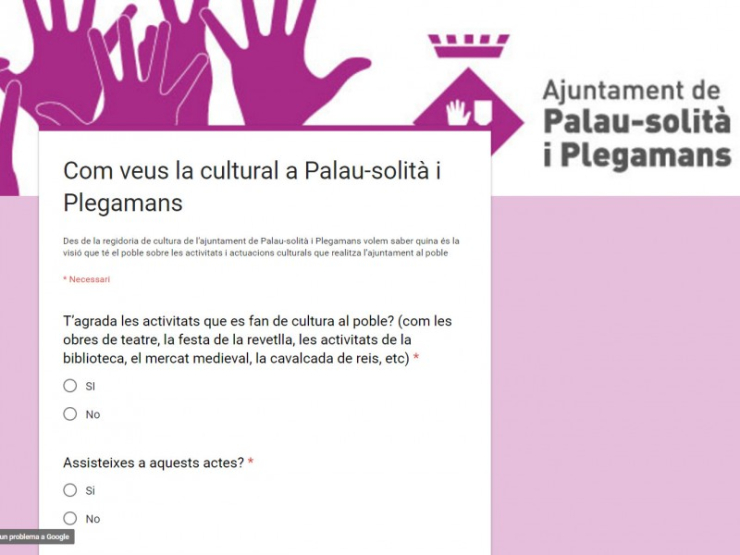 Captura de pantalla de l'enquesta on-line del Pla d'Acció Cultural.