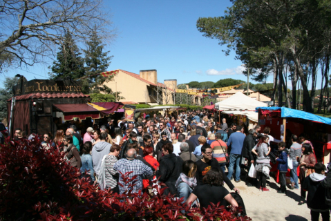 Mercat Medieval 2017. Palau-solità i Plegamans.