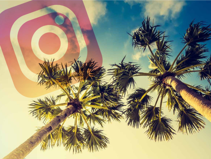 Concurs instagram  vacances. Escorxador.