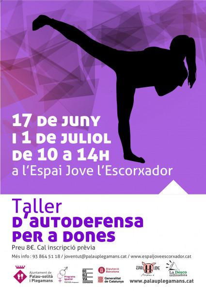 170617 taller autodefensa