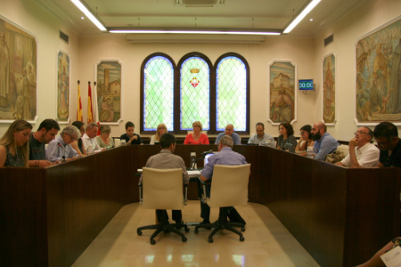 Ple Municipal del 29 de juny del 2017.