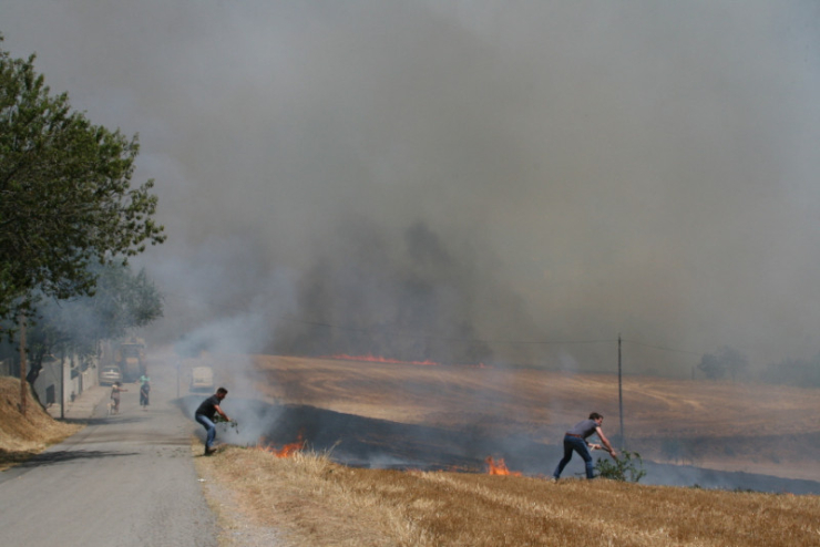 Incendi forestal del 4 de juliol del 2017 entre els barris dels Turons i Can Falguera, a Palau-solità i Plegamans.