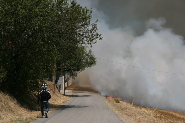 Incendi forestal del 4 de juliol del 2017 entre els barris dels Turons i Can Falguera, a Palau-solità i Plegamans.