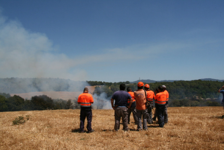 Incendi forestal del 4 de juliol del 2017 entre els barris dels Turons i Can Falguera, a Palau-solità i Plegamans.