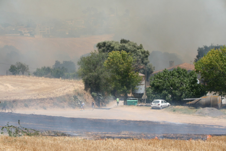 Incendi forestal del 4 de juliol del 2017 entre els barris dels Turons i Can Falguera, a Palau-solità i Plegamans.