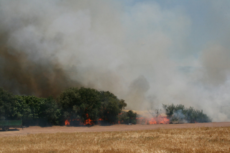 Incendi forestal del 4 de juliol del 2017 entre els barris dels Turons i Can Falguera, a Palau-solità i Plegamans.