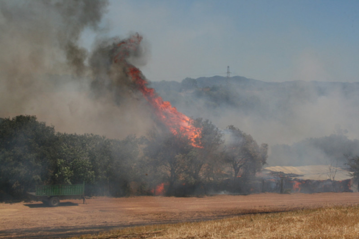 Incendi forestal del 4 de juliol del 2017 entre els barris dels Turons i Can Falguera, a Palau-solità i Plegamans.