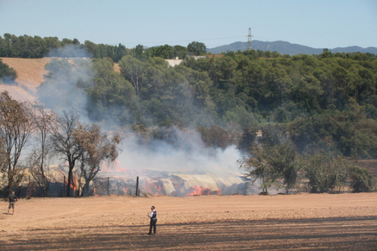 Incendi forestal del 4 de juliol del 2017 entre els barris dels Turons i Can Falguera, a Palau-solità i Plegamans.