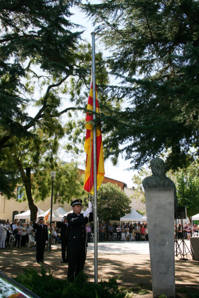 170911 diada senyera
