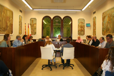Ple extraordinari del 24 d'octubre del 2017.
