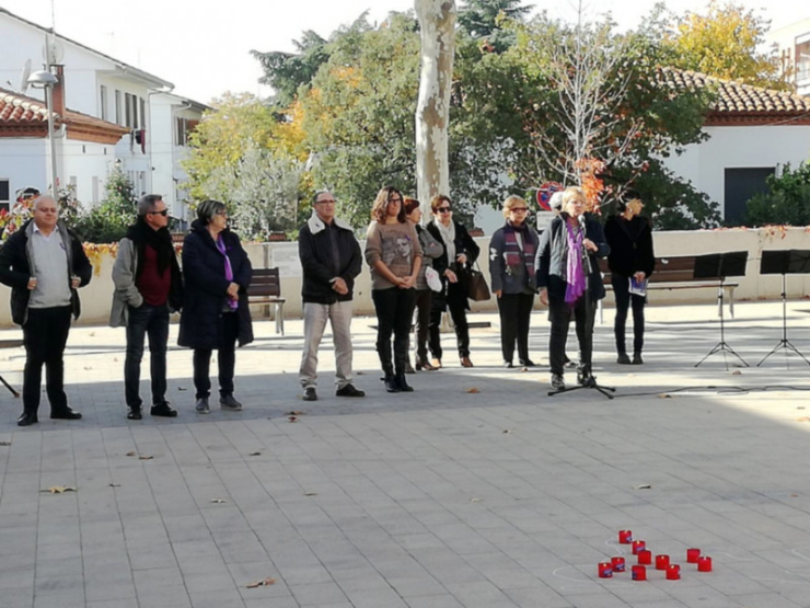 171124 diaviolenciamasclista teresapadros
