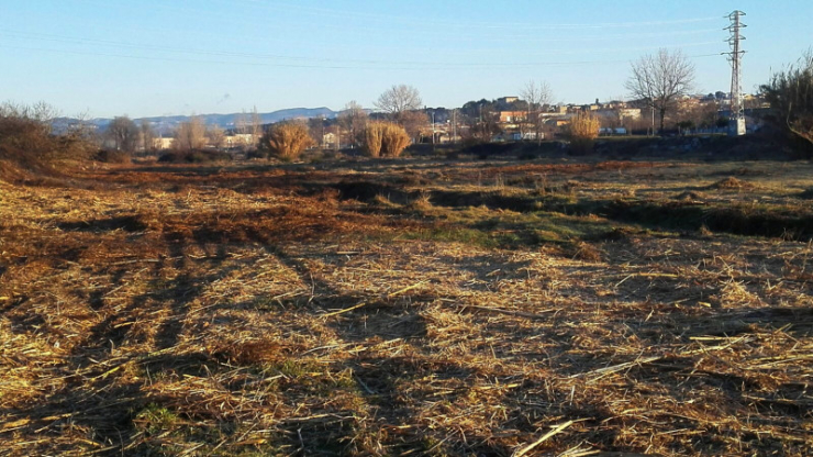 Riera de Caldes després de la neteja.