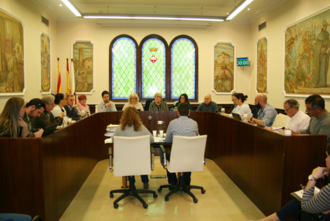 Sessió plenària del 28 de març del 2018.